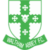Logo Waltham Abbey