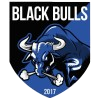 Logo Black Bulls