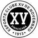 Logo XV de Piracicaba