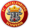 FC Mecklenburg Schwerin