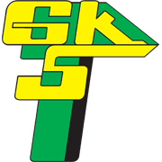 Logo Gornik Leczna
