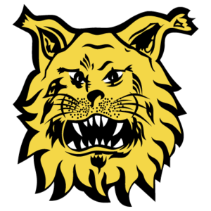 Logo Ilves Tampere II
