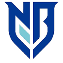 Logo Ningbo Professional Football Club
