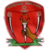 Logo Sawmer